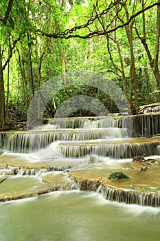 Deep forest waterfall