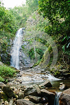 Deep forest waterfall