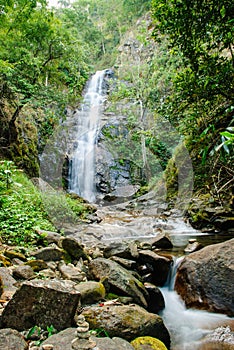 Deep forest waterfall