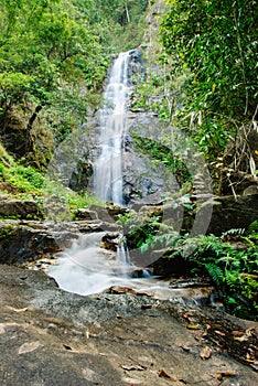 Deep forest waterfall