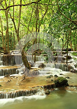 Deep forest waterfall