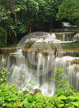 Deep forest waterfall