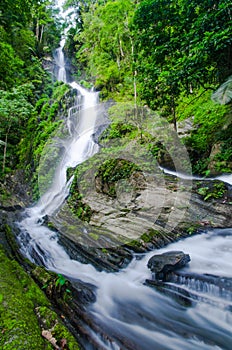 Deep forest waterfall