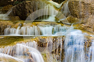 Deep forest waterfall close up