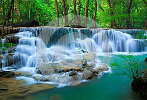 Profundo Bosque cascada, tailandia 