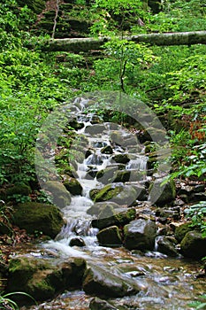 Deep Forest Waterfall