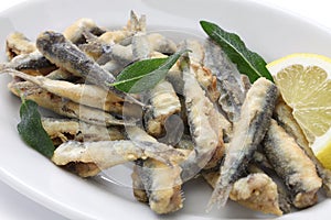 Deep fried anchovies