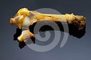 Deep fried chicken bone on shiny dark su