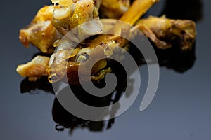 Deep fried chicken bones on shiny dark surface