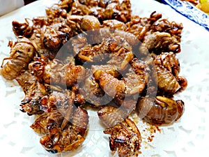 Deep fried cicadas