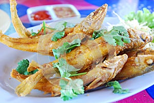 Deep-fried fish