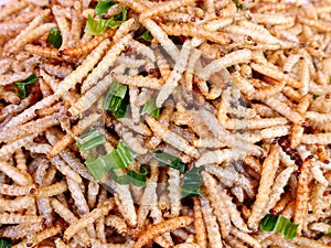 Deep fried insects and bugs