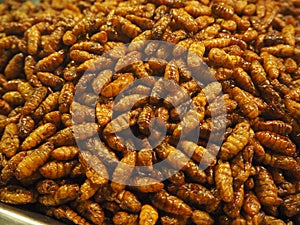 Fried Insects, Meal, bees.