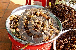 Deep fried insects