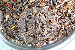 Deep fried insects