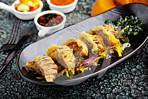 Deep fried potstickers or dumplings