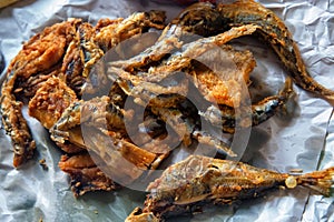 Deep fried sardine lies on oiled paper