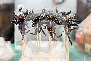Deep fried scorpions selling at the Bangkok night market.