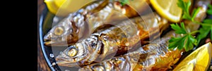 Deep Fried Small Sardines, Roasted Rainbow Smelt Closeup, Sea Fish Beer Snack, Fried Sprats