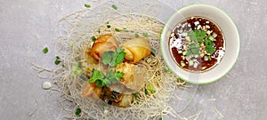 deep fried spring rolls