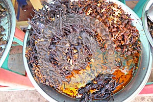 Deep fried tarantula spiders