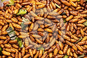 Deep fried variety of insects worms selling along the road side, famous Thai street food