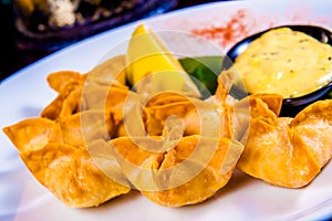 Deep fried wontons on white plate