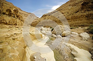 Deep gorge - wadi Zeelim in Judea desert, Israel.