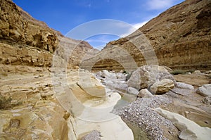 Deep gorge - wadi Zeelim in Judea desert, Israel.