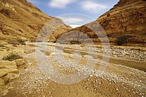 Deep gorge - wadi Zeelim in Judea desert, Israel.