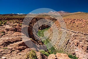 Deep green canyon in the desert, top view