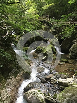 Deep in the green woods, a stream rolling over the white waves