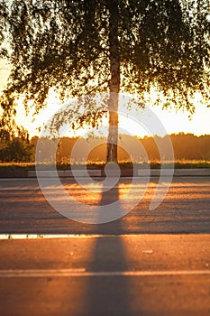 Deep morning dawn with highlights in the orange rays of the summer sun on the road