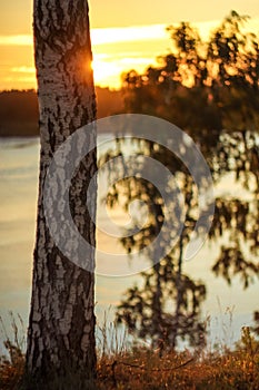 Deep morning dawn with highlights in the orange rays of the summer sun on the road against a grove of trees and a river on a