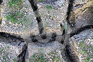 Deep mud cracks