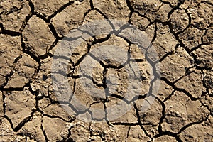 Deep Mud Cracks Background