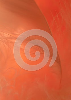 Deep orange abstract