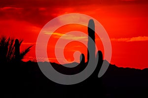 Deep Orange Sun Setting Sky in Apache Junction