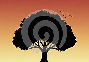 From deep orange at the top to a light yellow at the bottom,