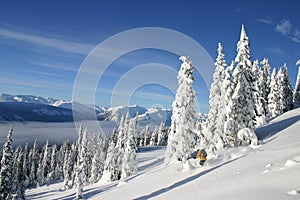 Deep Powder img