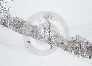 Deep powder skiing in Niseko, Japan photo