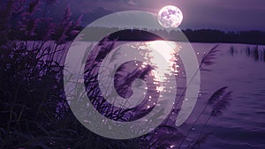 Deep purple hues engulf a moonlit meadow its grasses swaying in the gentle breeze as the full moon reflects in a nearby