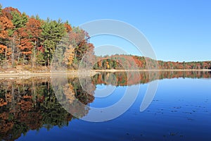 Deep Reflections in November at Walden Pond. November 2015