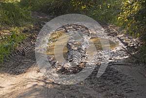 Deep ruts on the road filled with water.