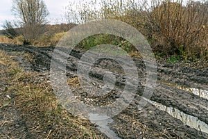 Deep ruts in the slushy autumn road