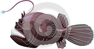 Deep sea anglerfish photo