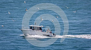 Deep sea fishing charter boat at sea with fishing rods and seagulls following its wake - off Portland, Dorset, UK