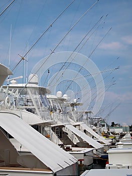 Deep Sea Fishing Charter Boats photo