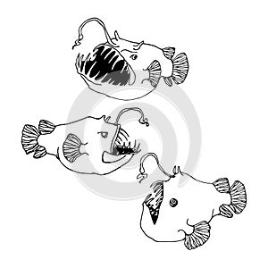 Deep sea predator, scary, ugly angler fish, with teeth & luminous bait, funny monster