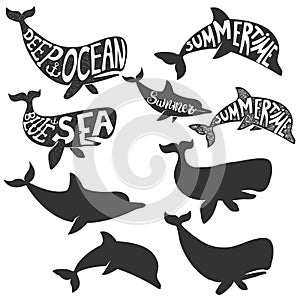 Deep sea. Summertime. Dolphin and whales silhouettes with letter